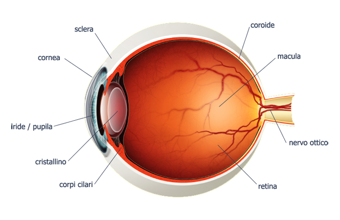 Chirurgia della Retina